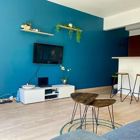 Superbe Studio Plein Pied Grand Jardin A 500m De La Plage Apartment Antibes