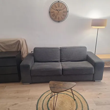 Apartment Superbe Studio Plein Pied Grand Jardin A 500m De La Plage